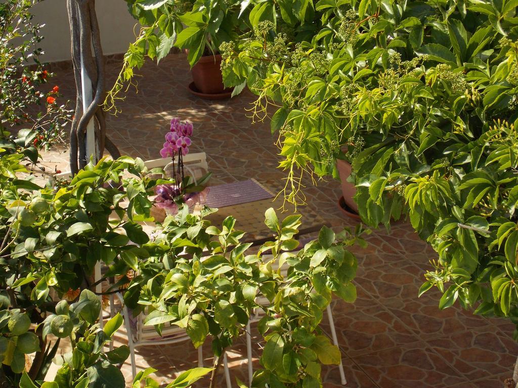 Apartmani Niki Hvar Đảo Hvar Ngoại thất bức ảnh